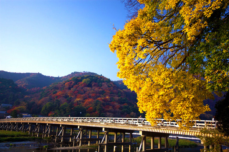 紅葉・嵐山高雄コース　イメージ