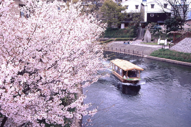 京都・伏見コース　イメージ