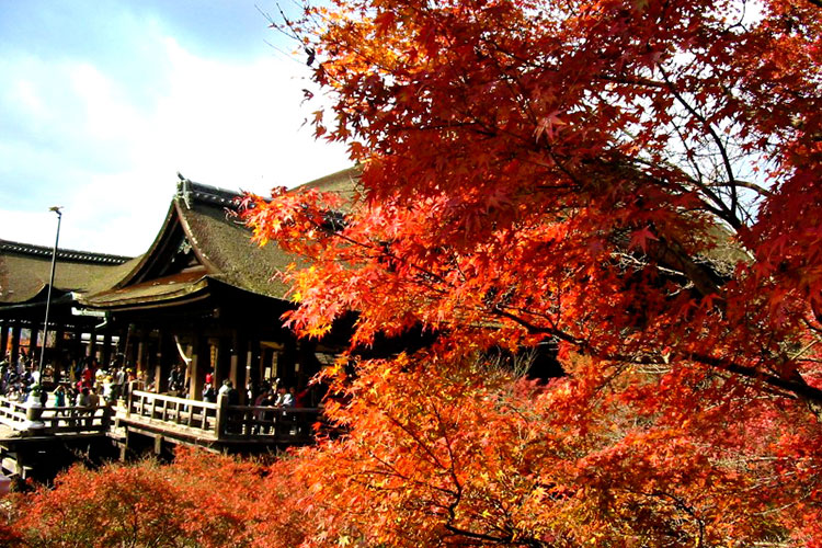 紅葉・東山コース　イメージ