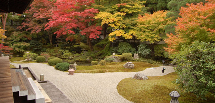 紅葉・東山コース　イメージ