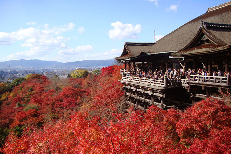 京都・洛東コース　イメージ