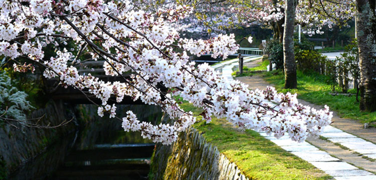 京都・洛東コース　イメージ