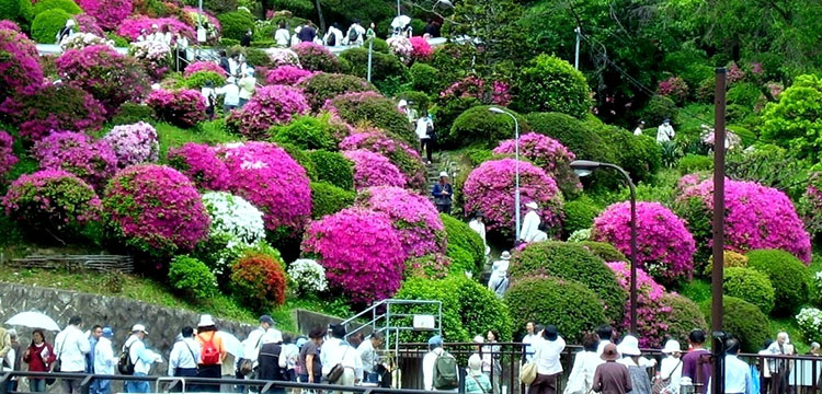 京都・洛東コース　イメージ